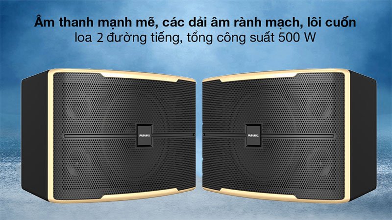 Loa karaoke Paramax Z-2500 - Hàng chính hãng