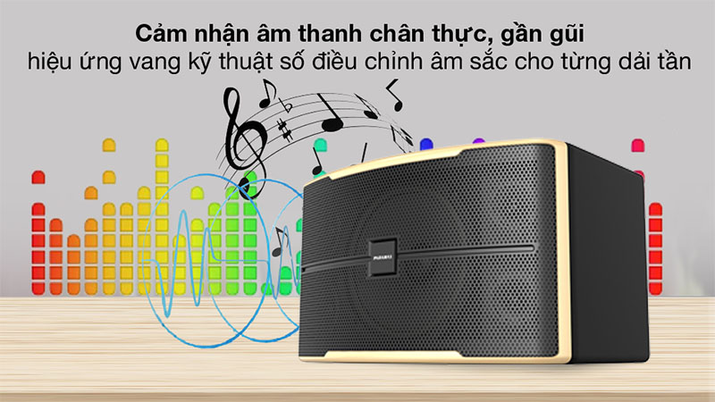 Loa karaoke Paramax Z-2500 - Hàng chính hãng