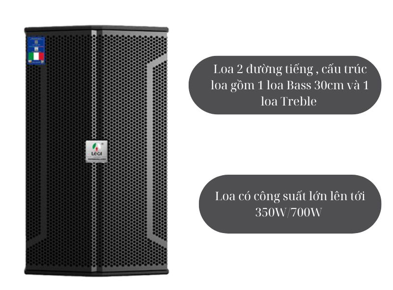 Loa karaoke Leqi ZX-12 - Hàng chính hãng