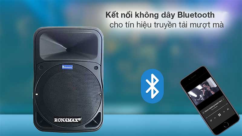 Loa karaoke di động Ronamax B15 - Hàng chính hãng