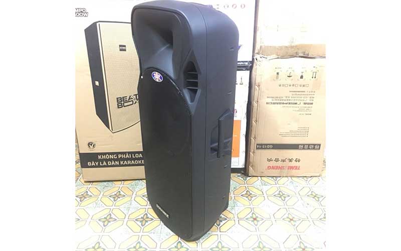 Loa karaoke di động Ronamax D15 - Hàng chính hãng