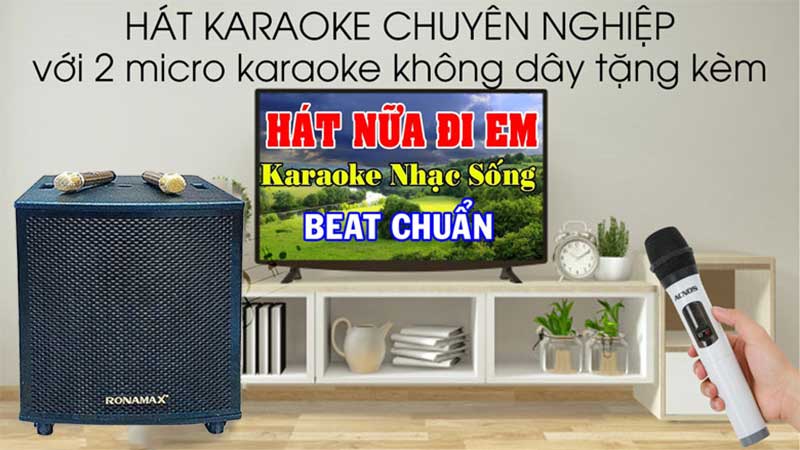 Micro không dây của Loa karaoke di động Ronamax M15