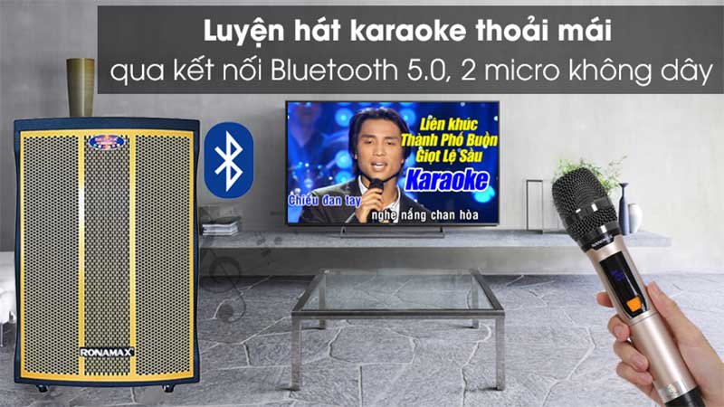 Loa karaoke di động Ronamax MF15 - Hàng chính hãng
