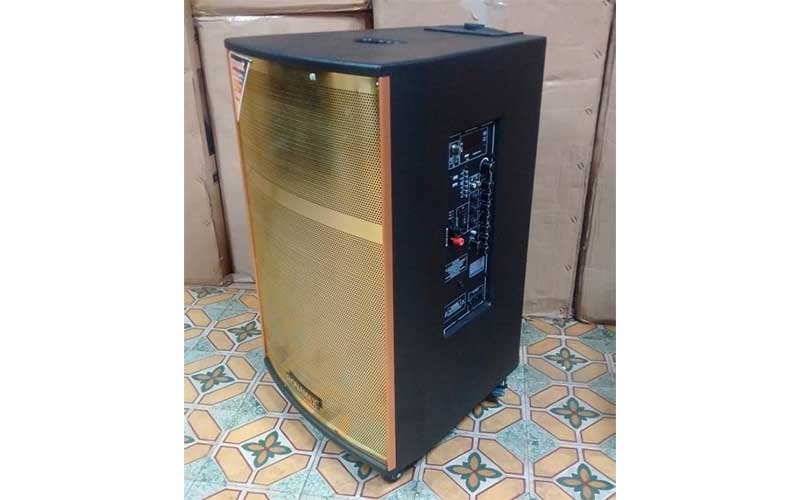 Loa karaoke di động Ronamax QM15 - Hàng chính hãng