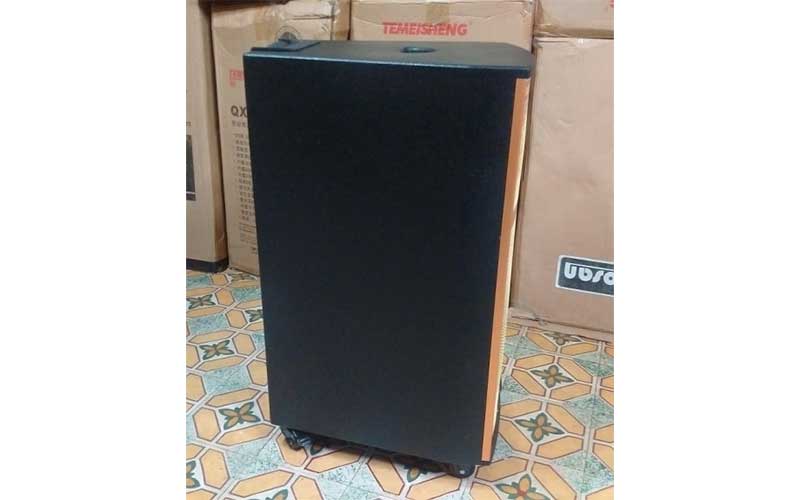 Loa karaoke di động Ronamax QM15 - Hàng chính hãng
