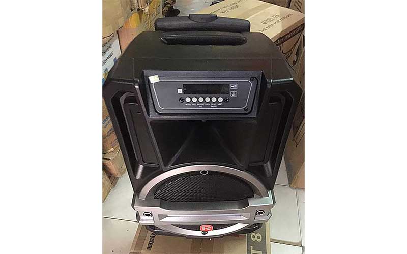Loa karaoke di động Ronamax T8 - Hàng chính hãng