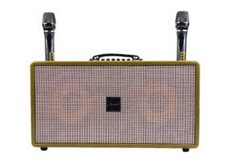 Loa karaoke xách tay Microtek HD-379 Pro - Hàng chính hãng