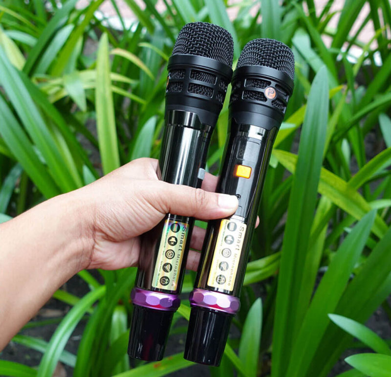 Loa karaoke di động ProSing PS-909 - Hàng chính hãng