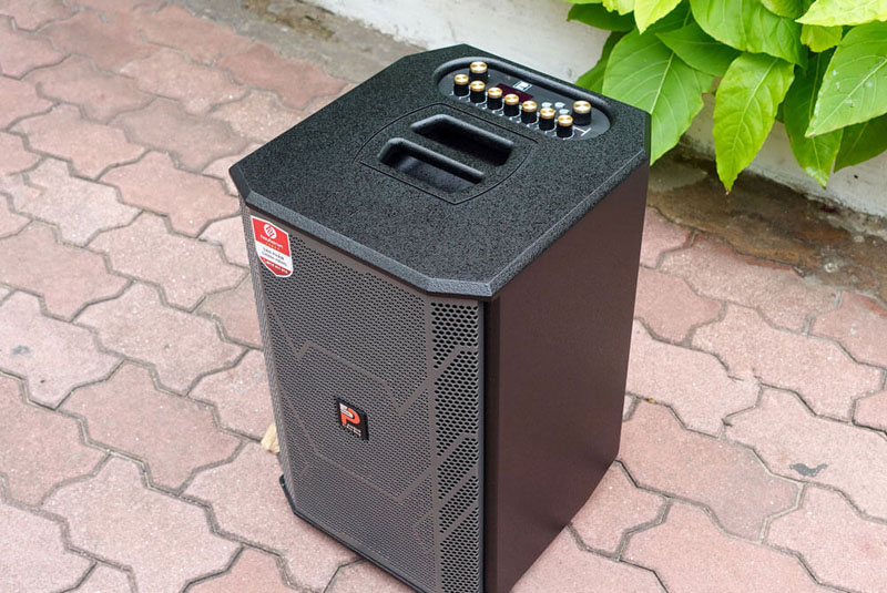 Loa karaoke di động ProSing PS-909 - Hàng chính hãng
