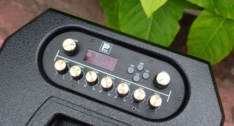 Loa karaoke di động ProSing PS-909 - Hàng chính hãng