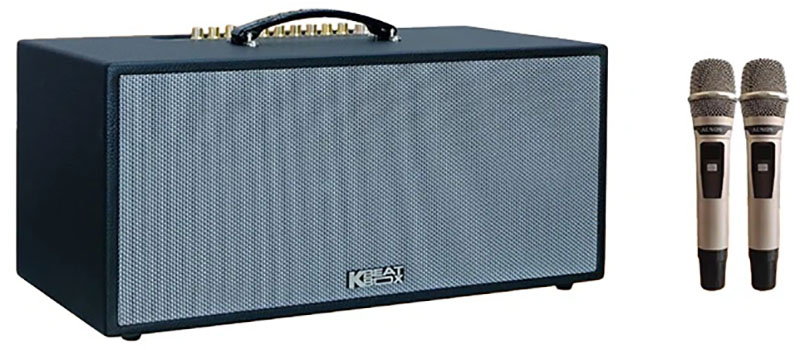 Loa karaoke xách tay Acnos CS451