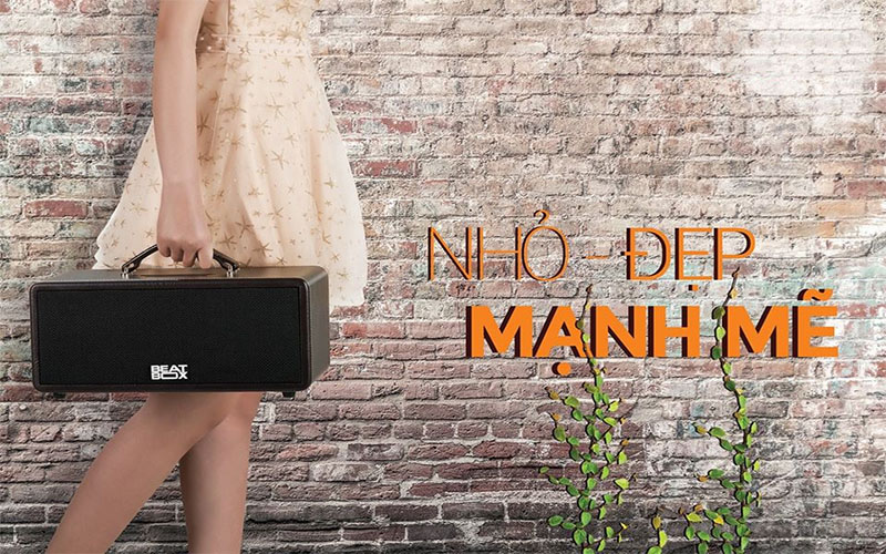 Loa karaoke xách tay Acnos KS362S - Hàng chính hãng