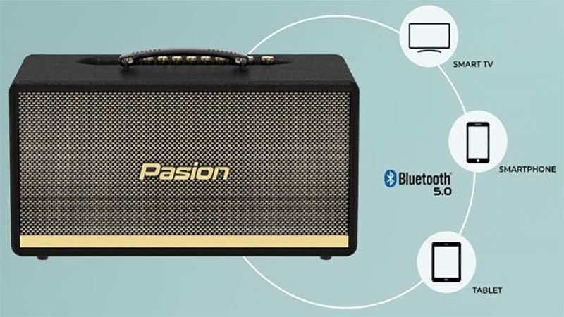 Tính năng Bluetooth của Loa karaoke xách tay Paramax Pasion 2