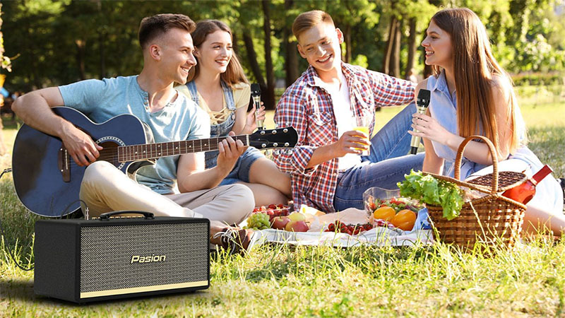Loa karaoke xách tay Paramax Pasion 2