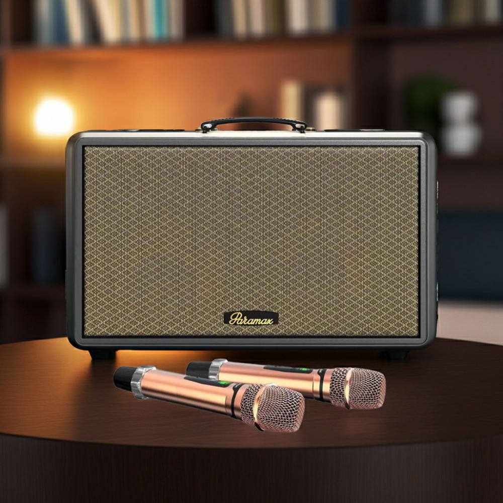 Loa karaoke xách tay Paramax SAGA - Hàng chính hãng