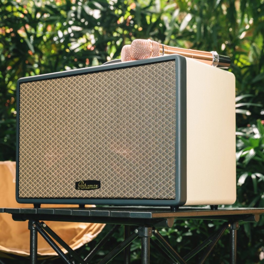 Loa karaoke xách tay Paramax SAGA - Hàng chính hãng