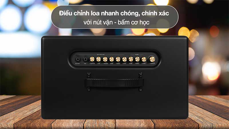 Bảng điều khiển của Loa karaoke xách tay Paramax Pasion 2C