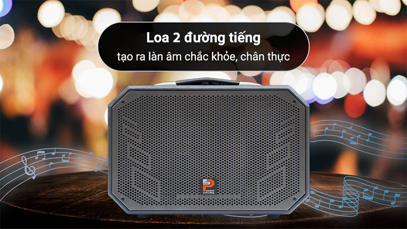 Loa karaoke xách tay Prosing W8-ALISA - Hàng chính hãng