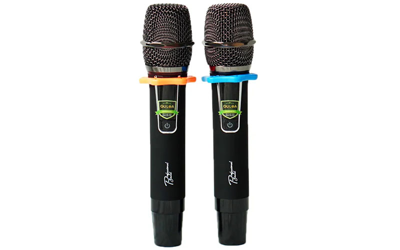 Loa karaoke xách tay Prosing W8 Rapper - Hàng chính hãng