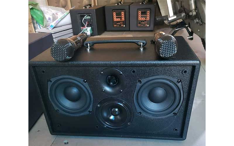 Loa karaoke xách tay Ronamax V-1206