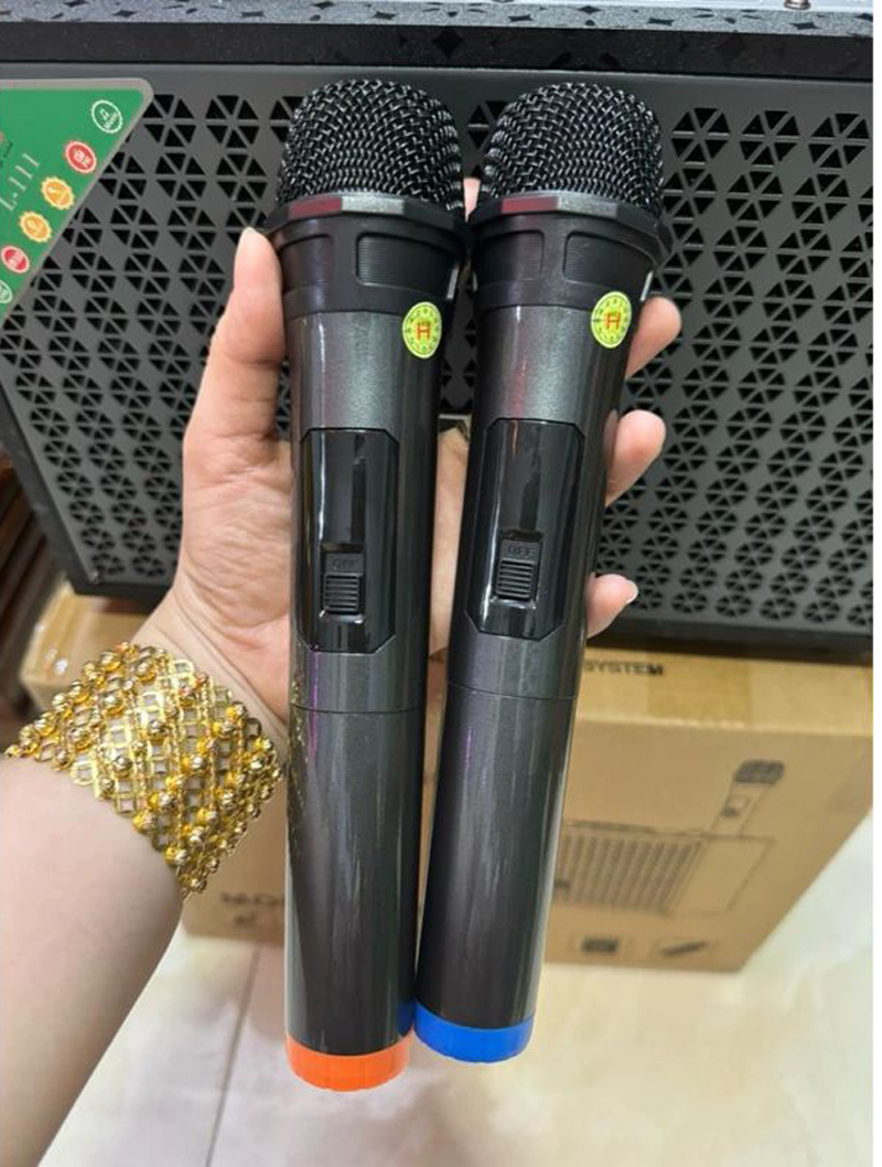 Loa karaoke xách tay Leong L-111 - Hàng chính hãng