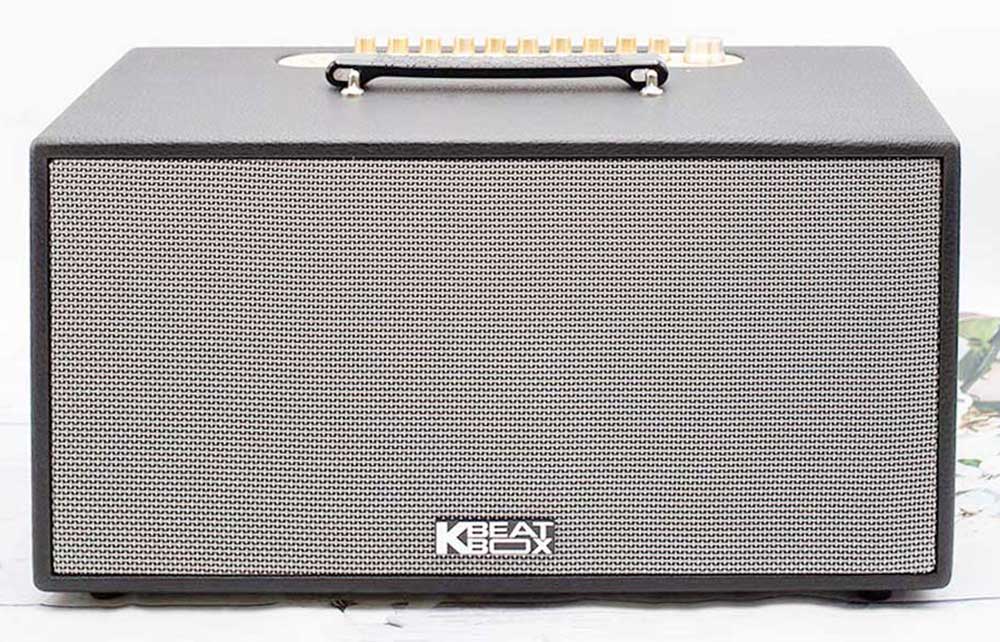 Loa xách tay Acnos NL446R - Hàng chính hãng