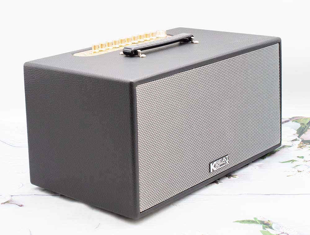 Loa xách tay Acnos NL446R - Hàng chính hãng