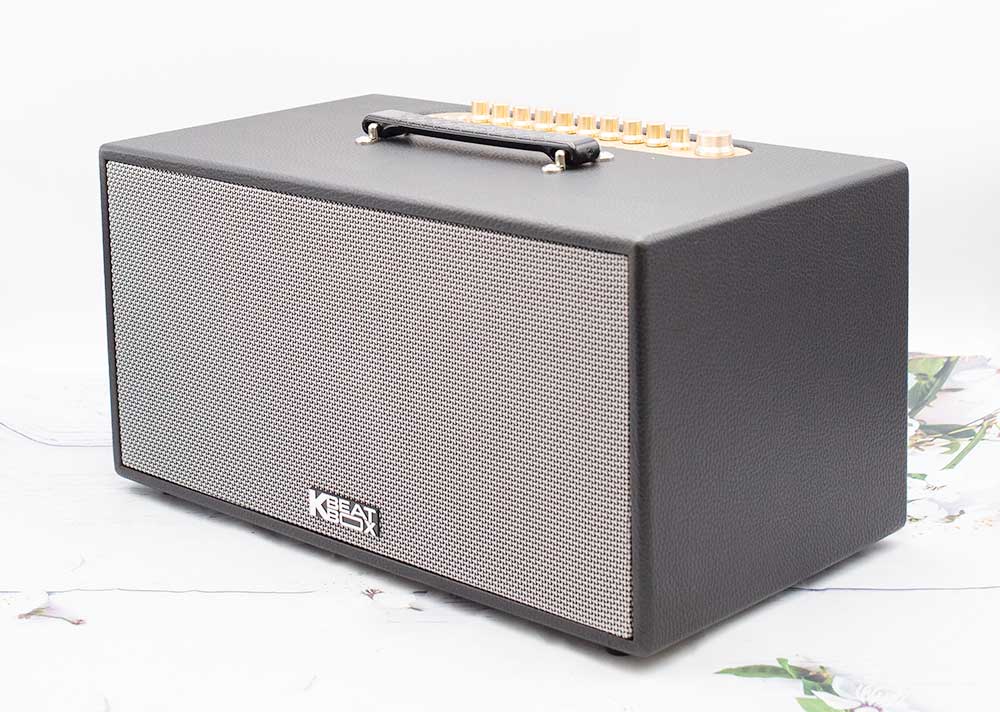 Loa xách tay Acnos NL446R - Hàng chính hãng