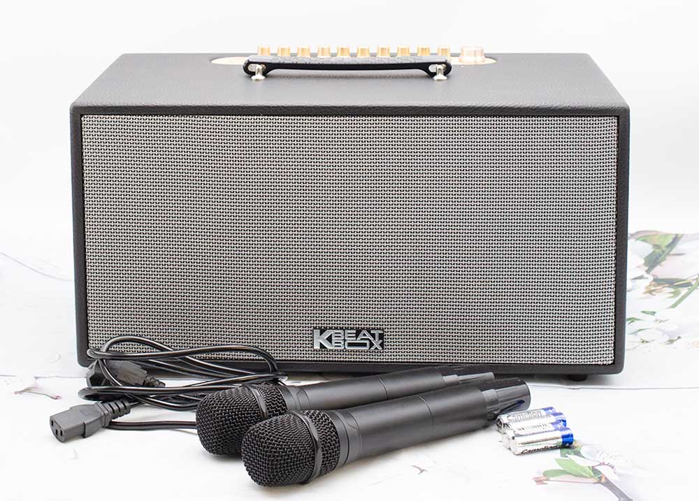 Loa xách tay Acnos NL446R - Hàng chính hãng