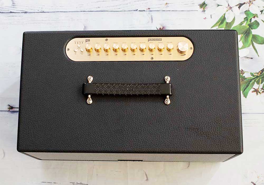 Loa xách tay Acnos NL446R - Hàng chính hãng