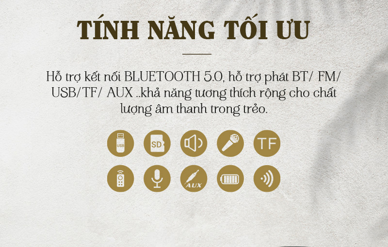 Các cổng kết nối của loa kéo bd-4200