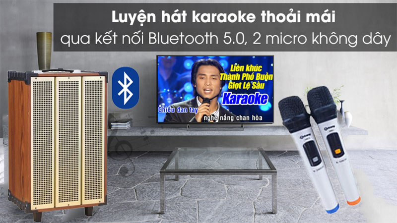 Micro không dây của Loa kéo di động Arirang MKS1