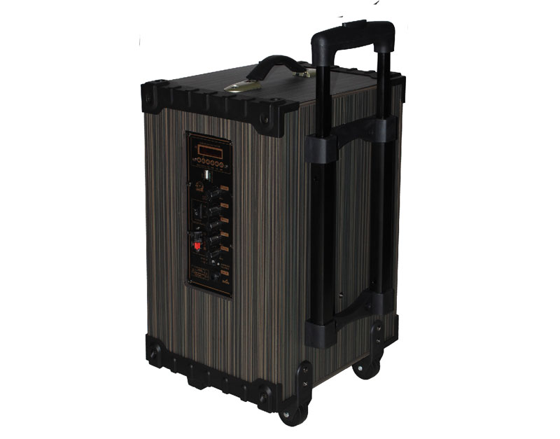 Loa kéo Oris T-10 - Hàng chính hãng