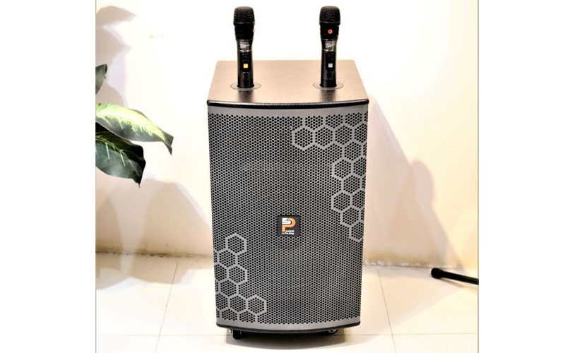 Loa kéo di động Prosing W12 BEE