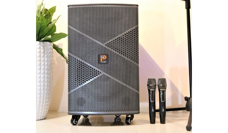 Loa kéo di động Prosing W12 Infinity - Hàng chính hãng