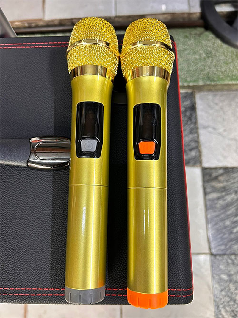 Loa kéo di động Leong L-1501 - Hàng chính hãng