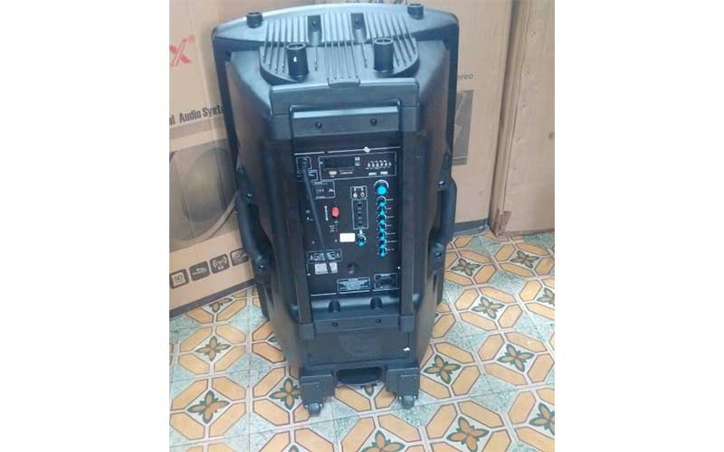 Loa kéo di động Ronamax F-12 - Hàng chính hãng