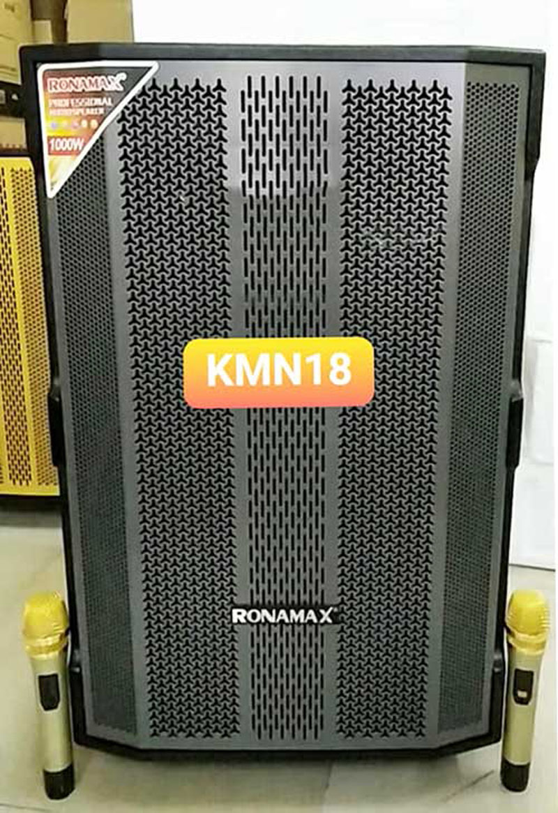 Mua loa được tặng kèm 2 micro không dây chât lượng cao, chống hú cho bạn thỏa mãn đam mê ca hát