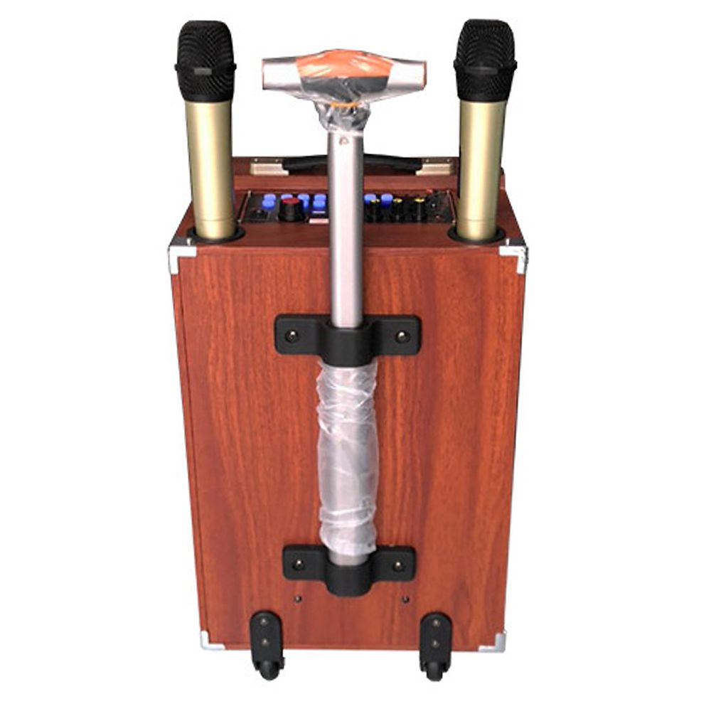 Loa kéo Ladomax K-S252 - Hàng chính hãng