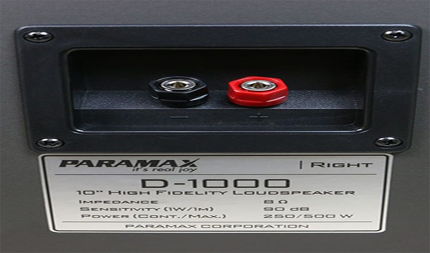 Loa ngang Paramax D-1000 - Hàng chính hãng