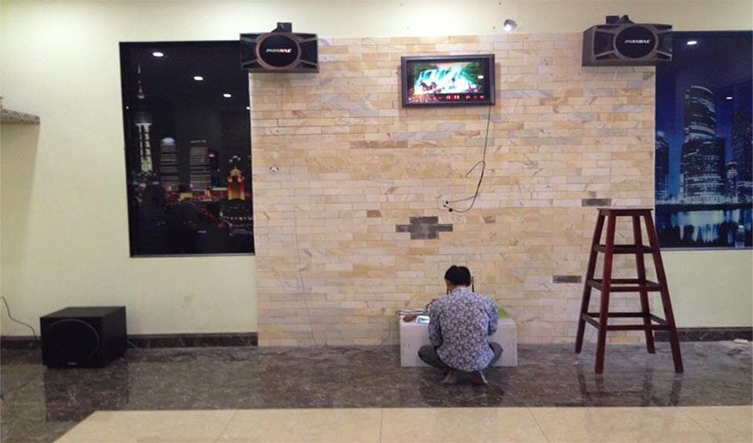 Loa ngang Paramax D-1000 - Hàng chính hãng