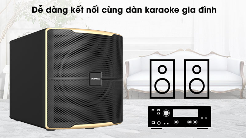 Loa siêu trầm Paramax Z-SUB - Hàng chính hãng