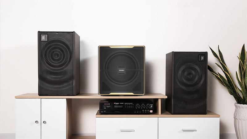 Loa siêu trầm Paramax Z-SUB - Hàng chính hãng