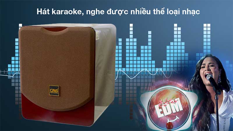 Ứng dụng của Loa sub CAVS SA815 Bass 40 Active