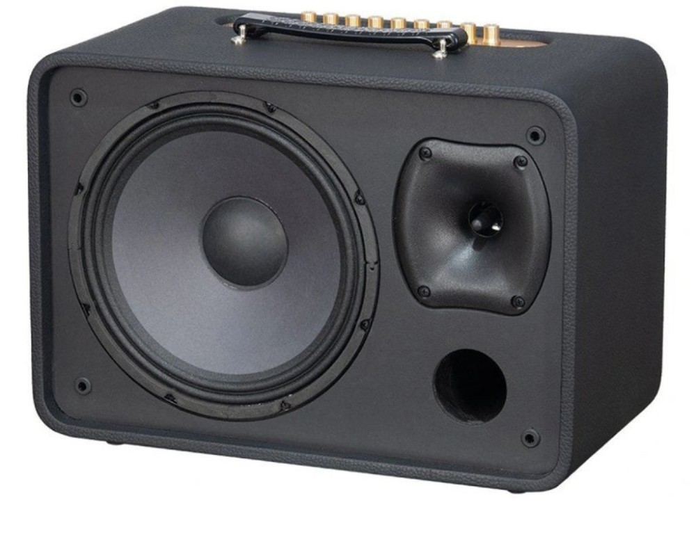 Loa xách tay Acnos CS250PRO - Hàng chính hãng