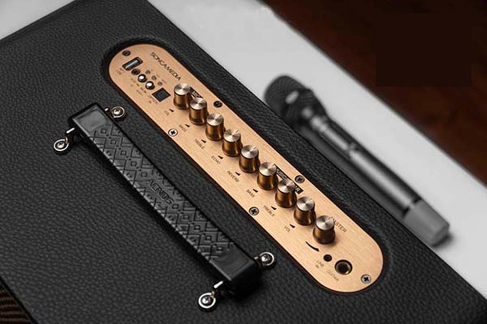 Loa xách tay Acnos CS250PRO - Hàng chính hãng