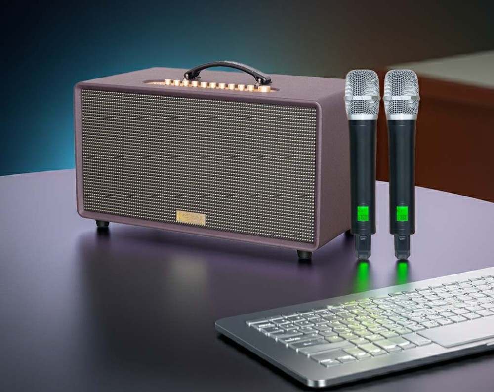 Thùng loa được làm từ gỗ bọc da cao cấp, chịu va đập tốt, bền bỉ theo thời gian.