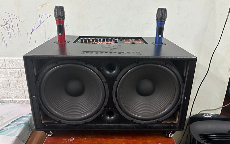 Loa xách tay bass đôi 30cm Karaoke Pro Audio DSP21