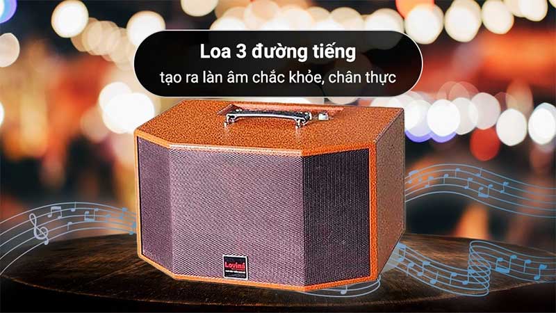 Cấu trúc của Loa xách tay di động Lovina KB207
