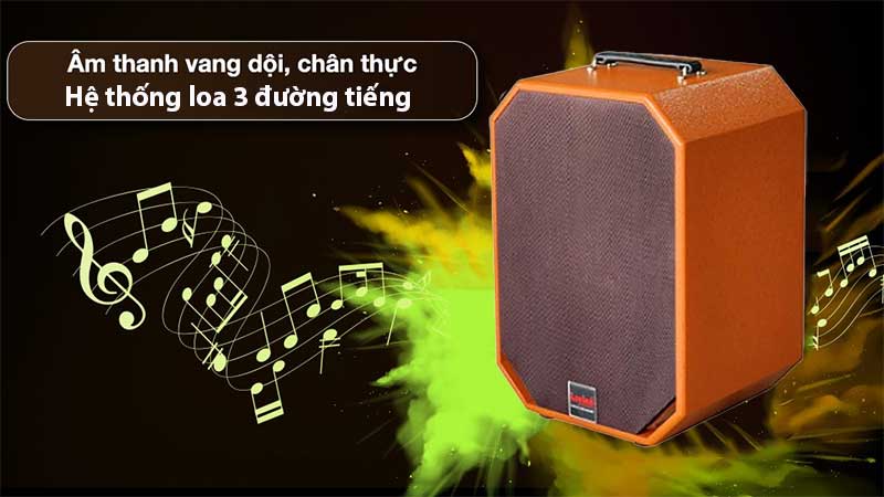 Cấu trúc của Loa xách tay di động Lovina KB209